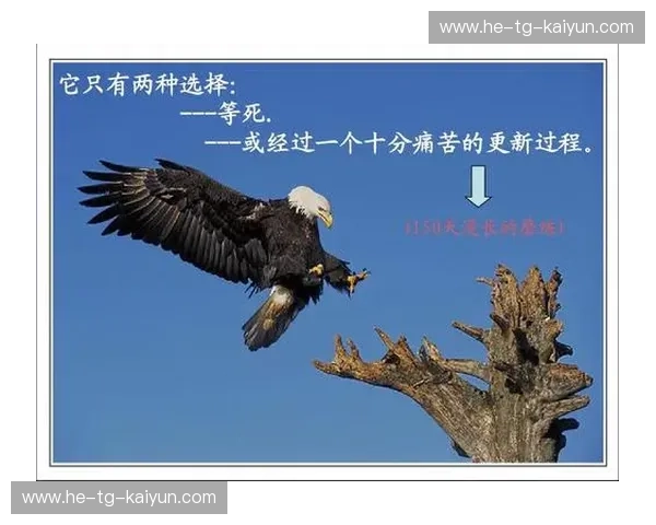 伤病攀岩：在磨砺中重生的力量